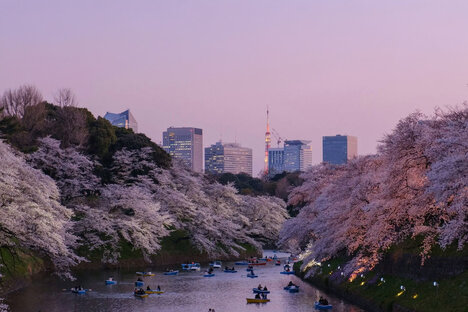 A&K Japan: Mountains and Cities