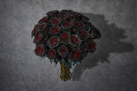 Bouqs Black Rose Bouquet