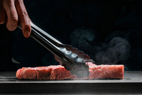 The BALMUDA Teppanyaki