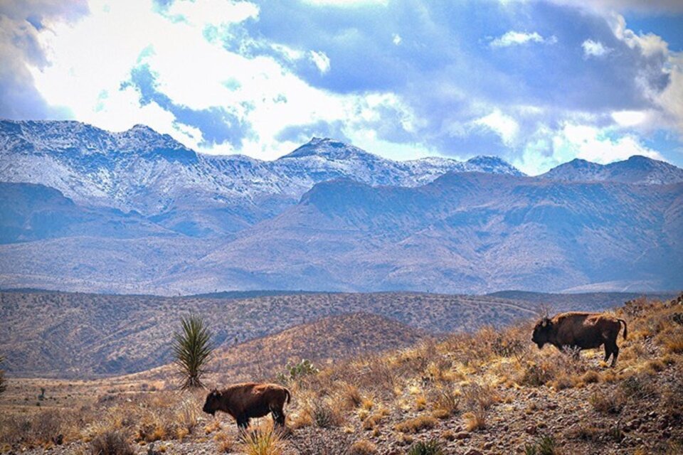 Cibolo Creek Ranch | Uncrate