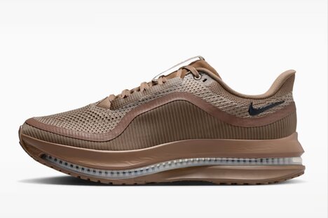 Nike Pegasus Premium