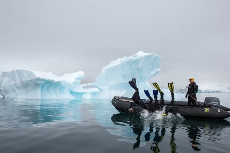Pelorus Superyacht Diving Experiences