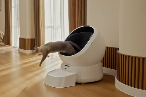 Petlibro Luma Smart Litter Box