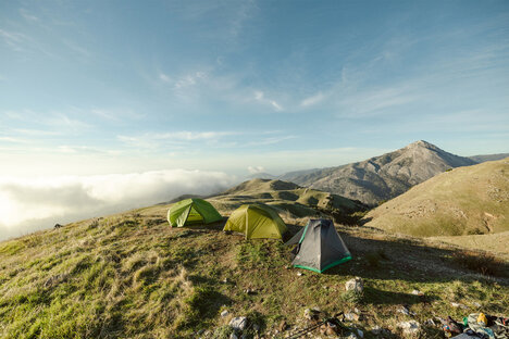 REI Co-op Membership