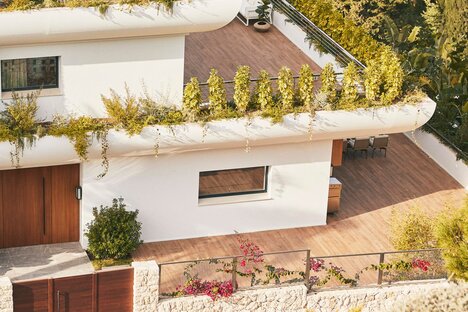 SHA Advanced Longevity Program