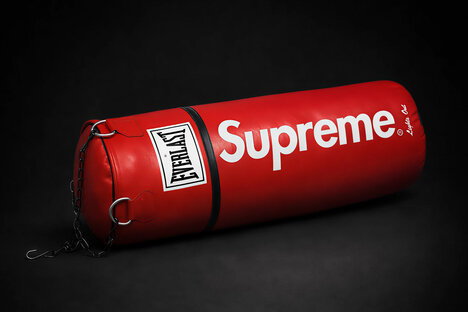 Supreme x Everlast Leather Heavy Bag