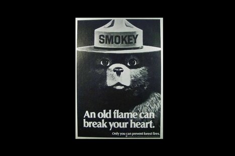 1981 Smokey Bear Forest Service Ad