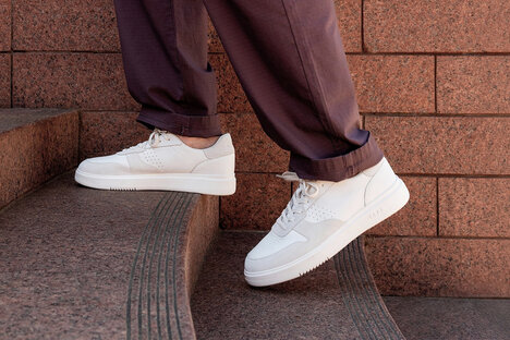 CLAE Moses Collection