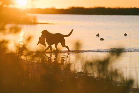 Bay Flats Hunting & Fishing Lodge