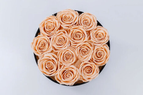 Lasting Brilliance Forever Roses