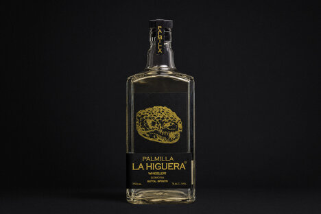 La Higuera Palmilla Wheeleri Sotol