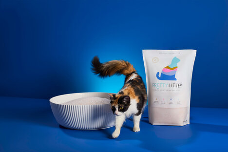 PrettyLitter