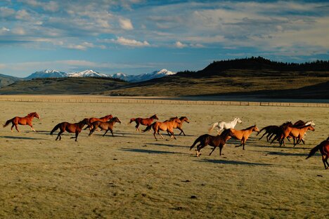 Hoback River Homestead Wyoming Ranch