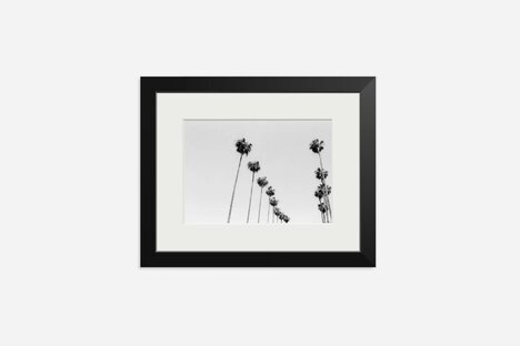 LA Palms Framed Print