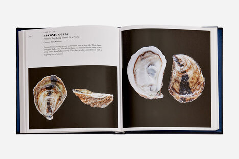 Oysters: A Celebration in the Raw