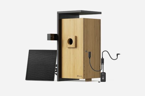 Birdfy Nest Duo Smart Bird House