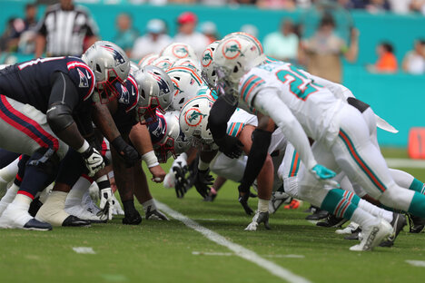 Skyscanner x Miami Dolphins