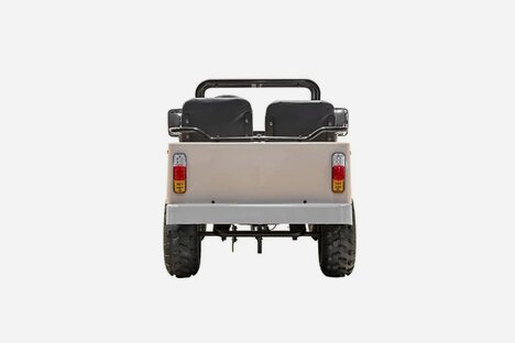 Massimo Mini Truck