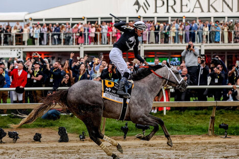 MyRacehorse