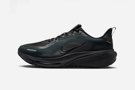 Nike Pegasus 42 Gortex