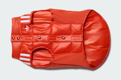Adidas Originals Pet Padded Vest