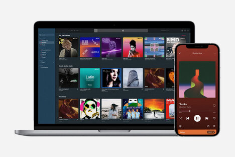 DistroKid Music Distribution