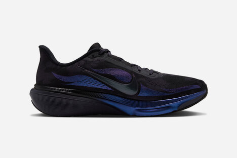 Nike Pegasus 42