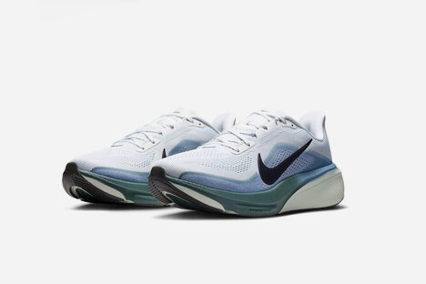 Nike Pegasus 42