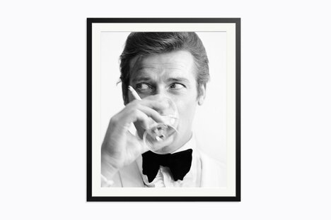 Shaken Not Stirred Framed Print