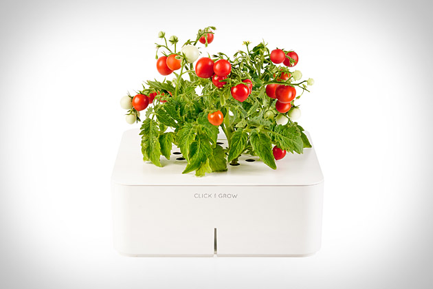 Click & Grow Smartpots | Uncrate