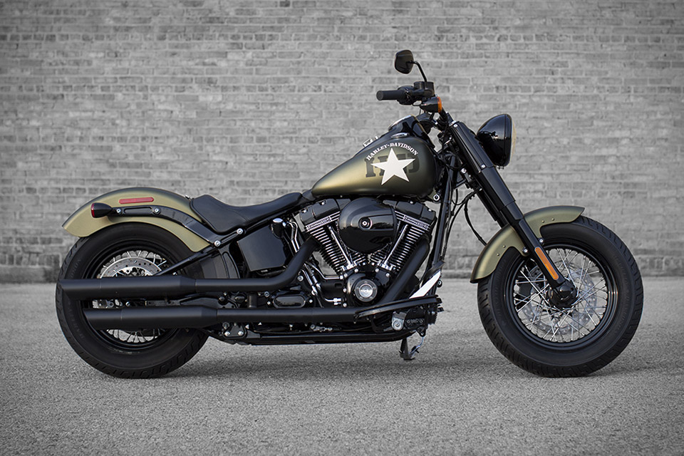 harley softail slim custom