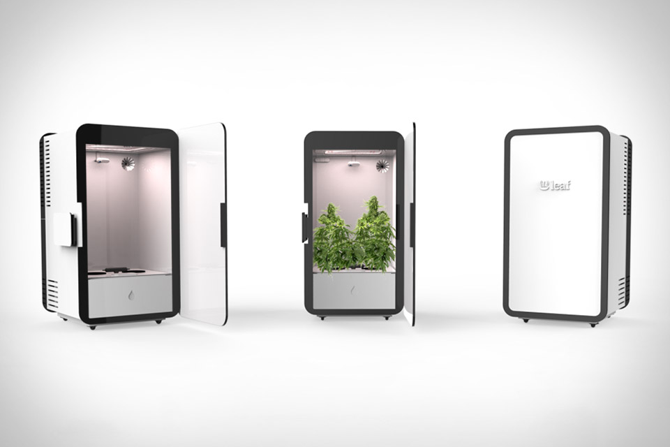 Leaf Cannabis Growing System