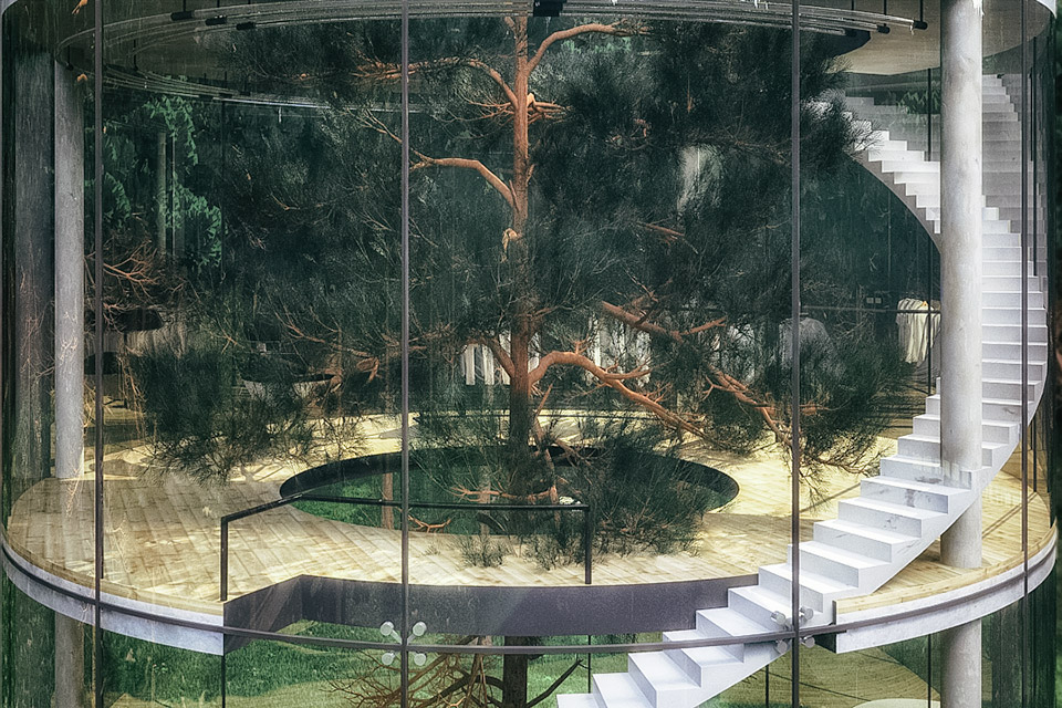 Glass Tree House Uncrate