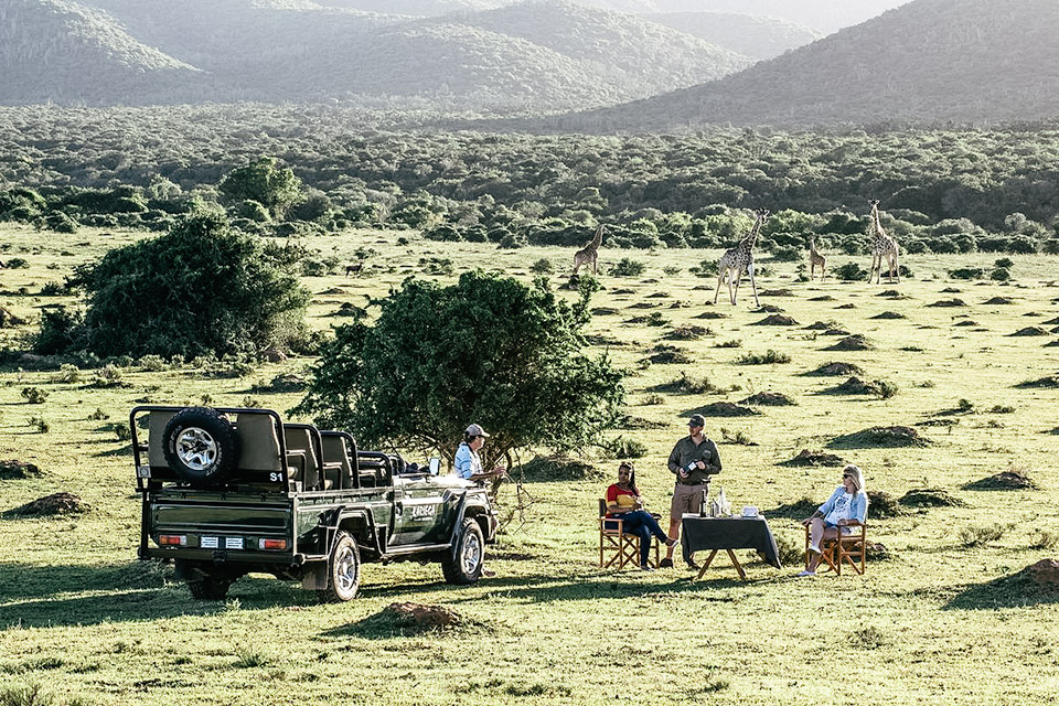 South African Private Game Reserve Uncrate