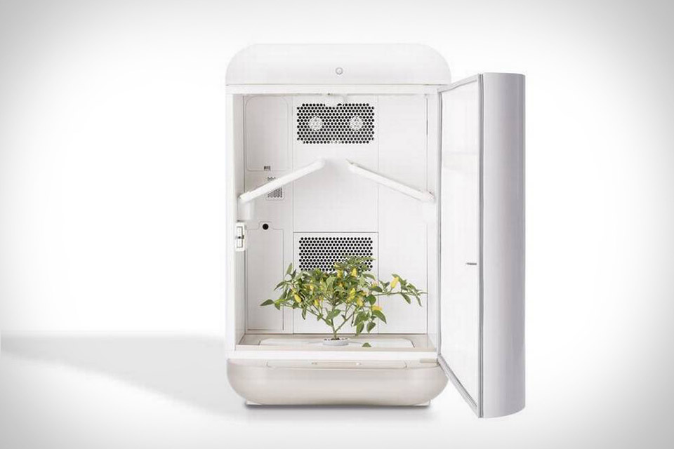 Seedo Hydroponic Growing System