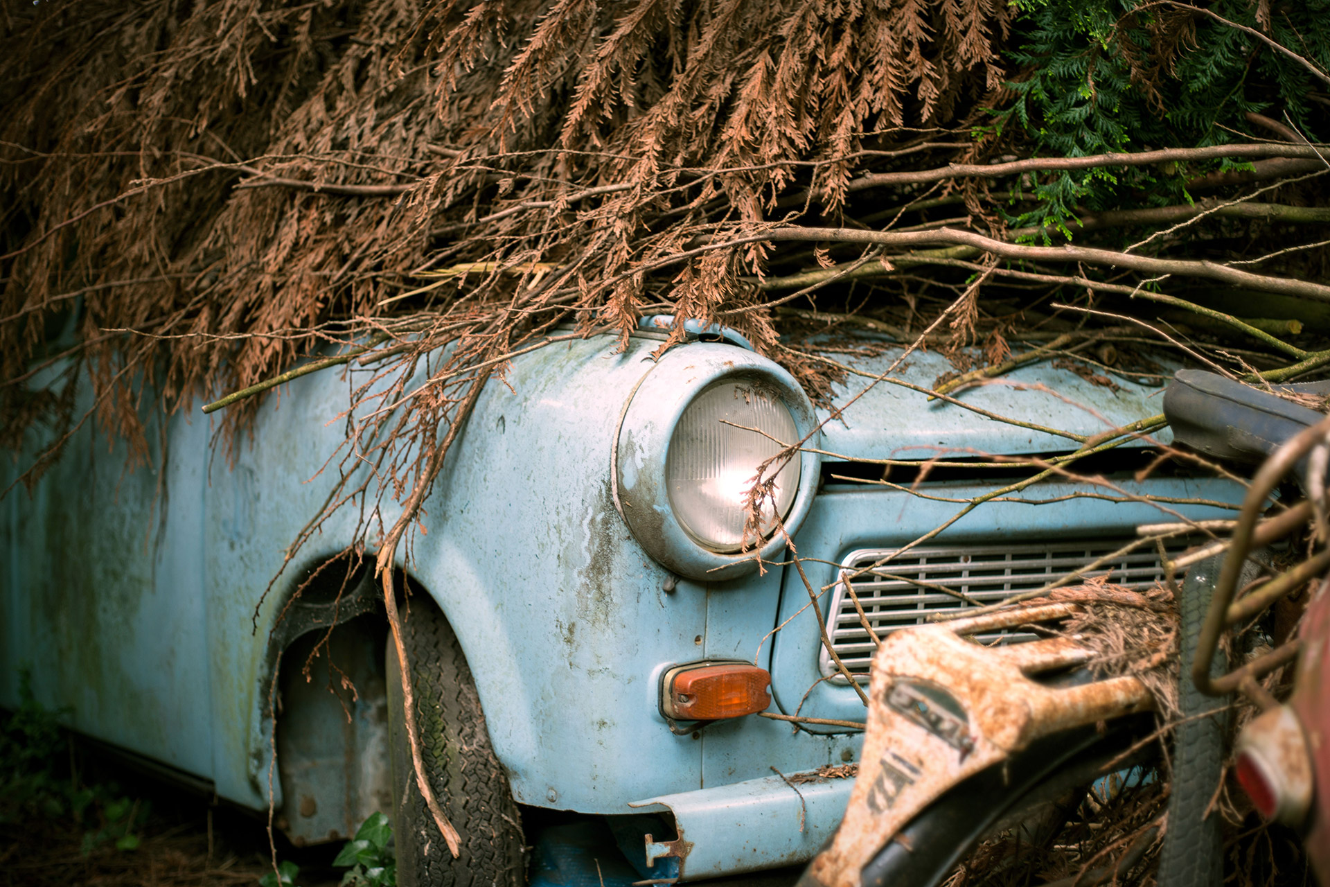 French Barn Find Vintage Car Collection | Uncrate