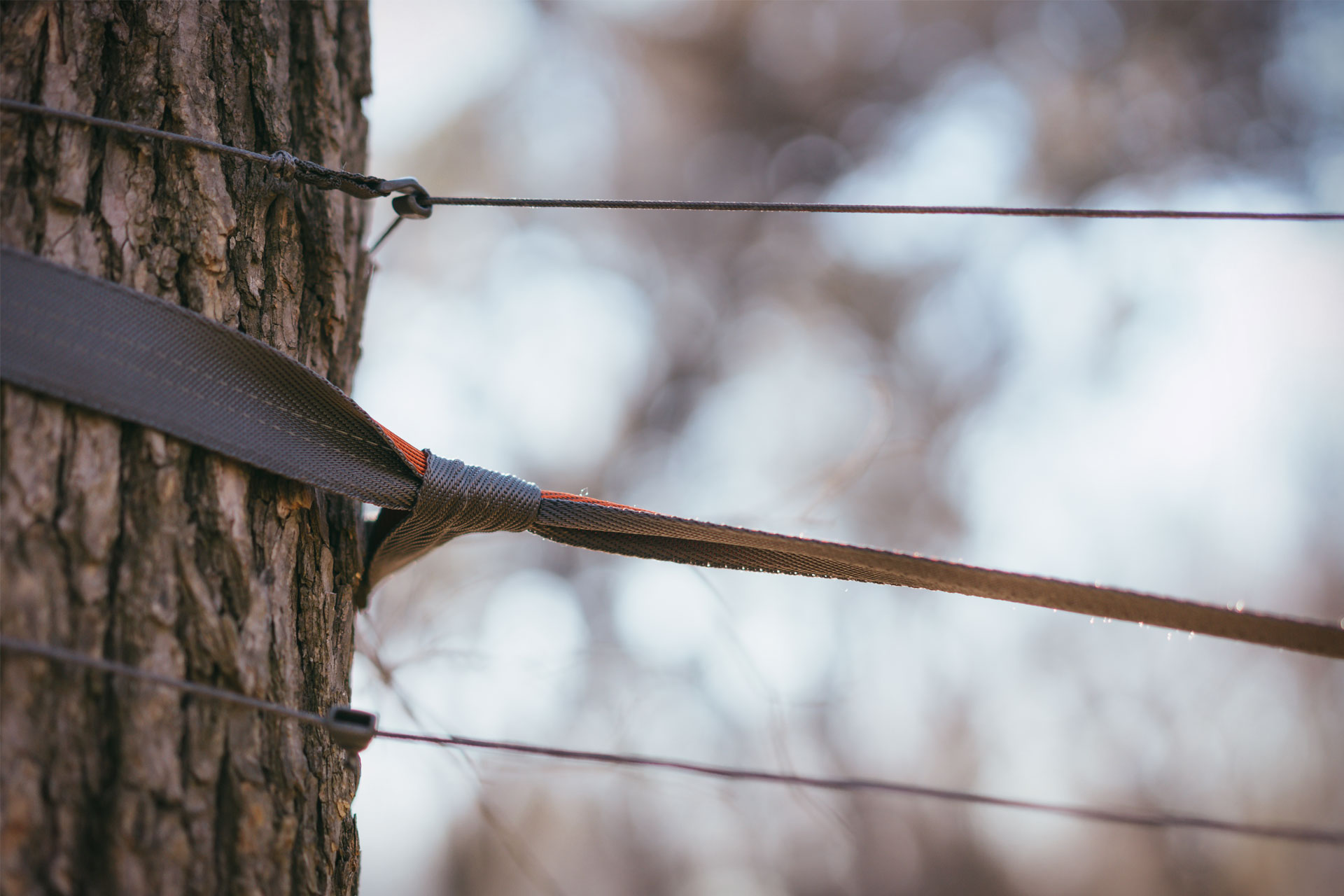 Kammok Roo Hammock System Uncrate
