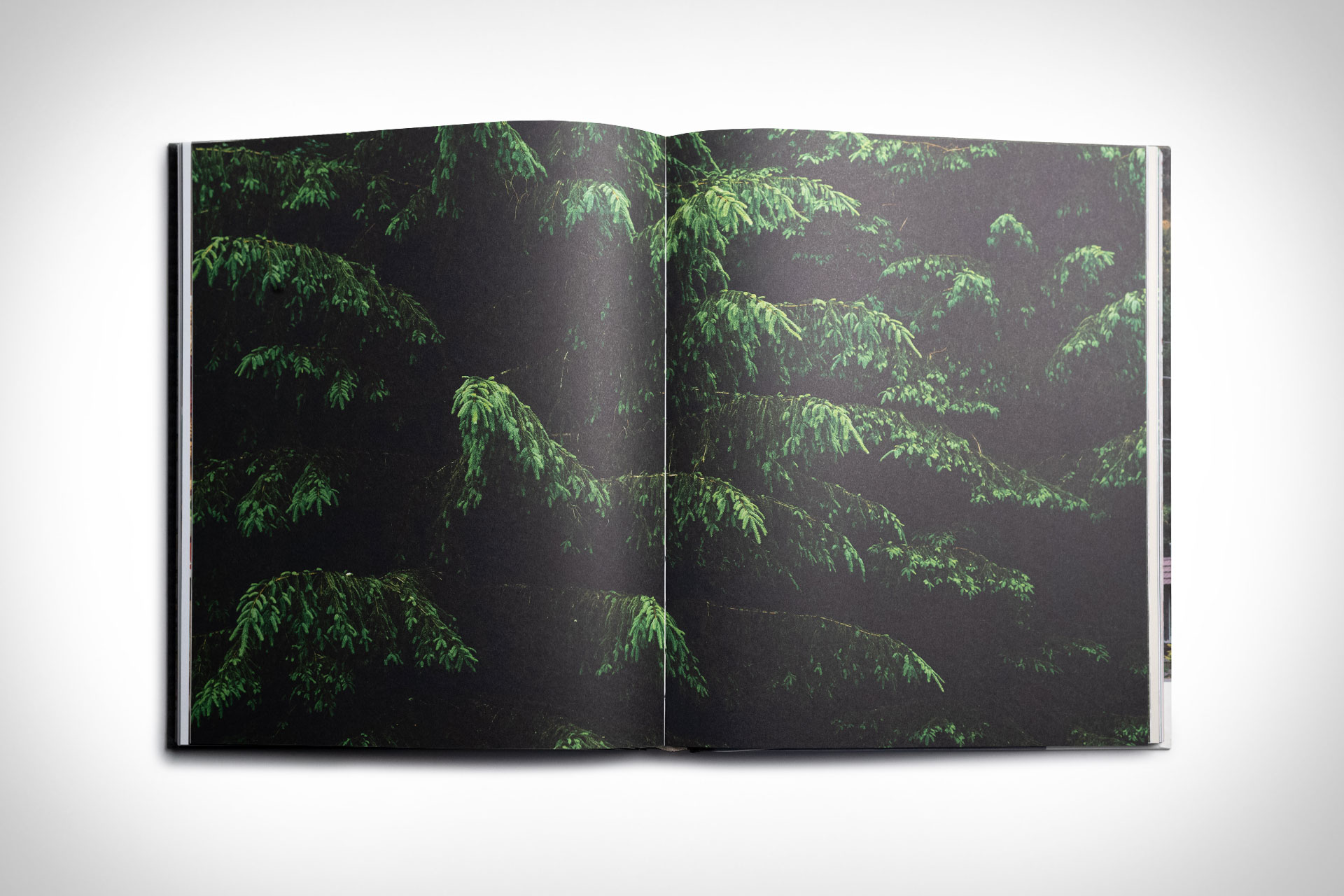 The Phoenicia Diner Cookbook Uncrate