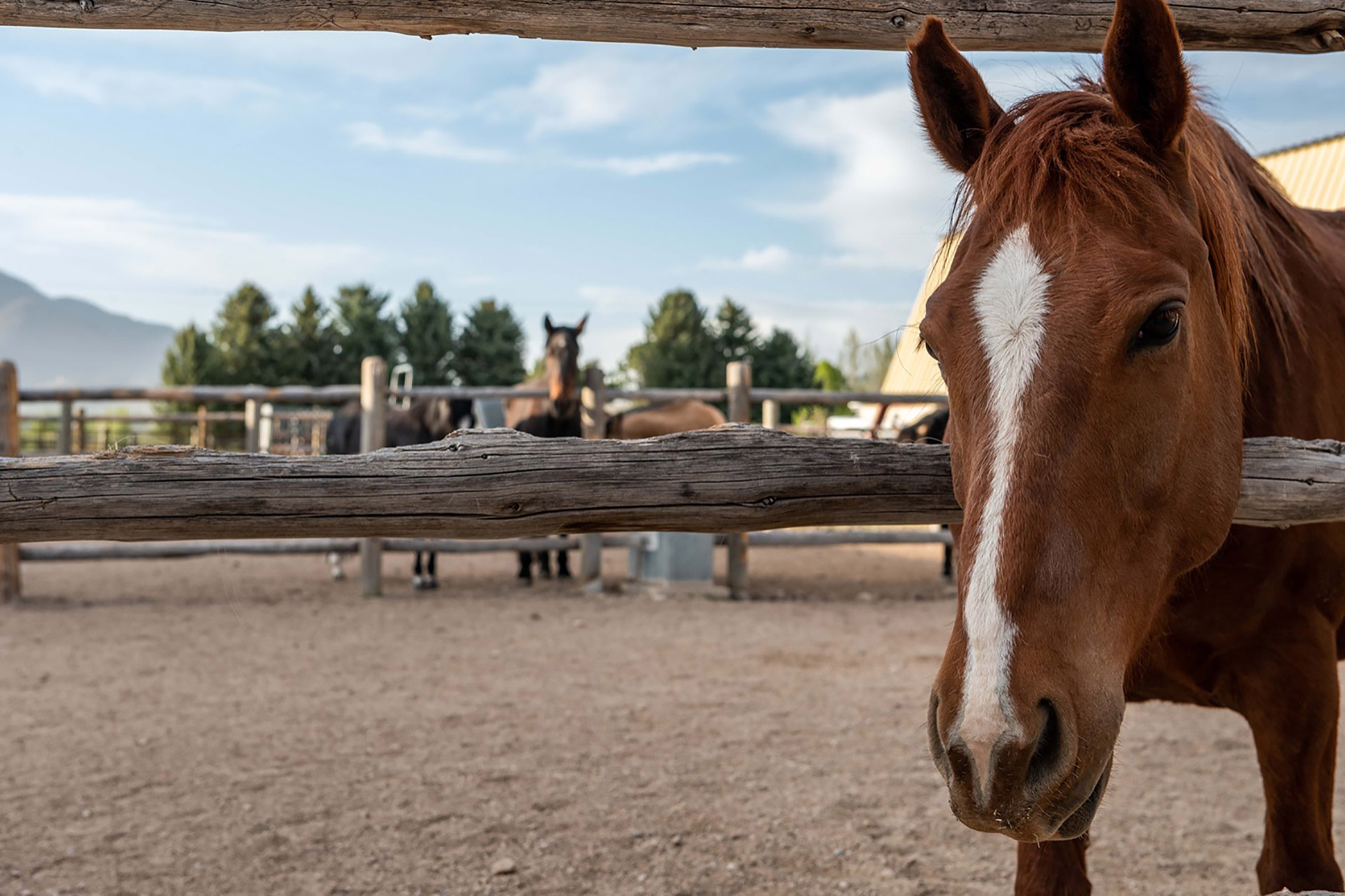 Robert Redford's Horse Whisper Ranch Uncrate