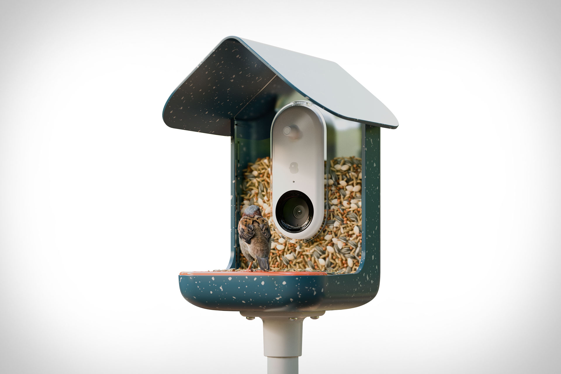 Bird Buddy Mangeoire intelligente pour colibris et bain d'oiseaux