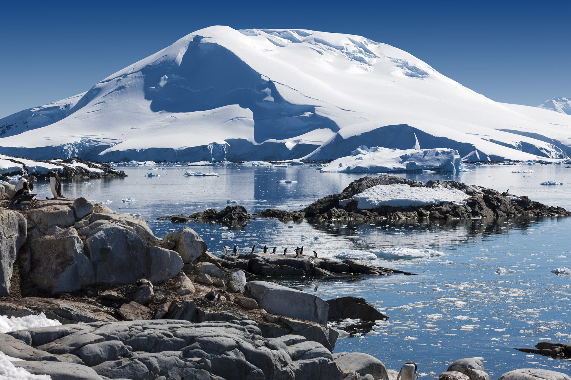 Антарктическое время. Купол ледника Беллинсгаузен. Кинг Джордж Антарктида. Природа Антарктиды. Острова Баллени Антарктида.