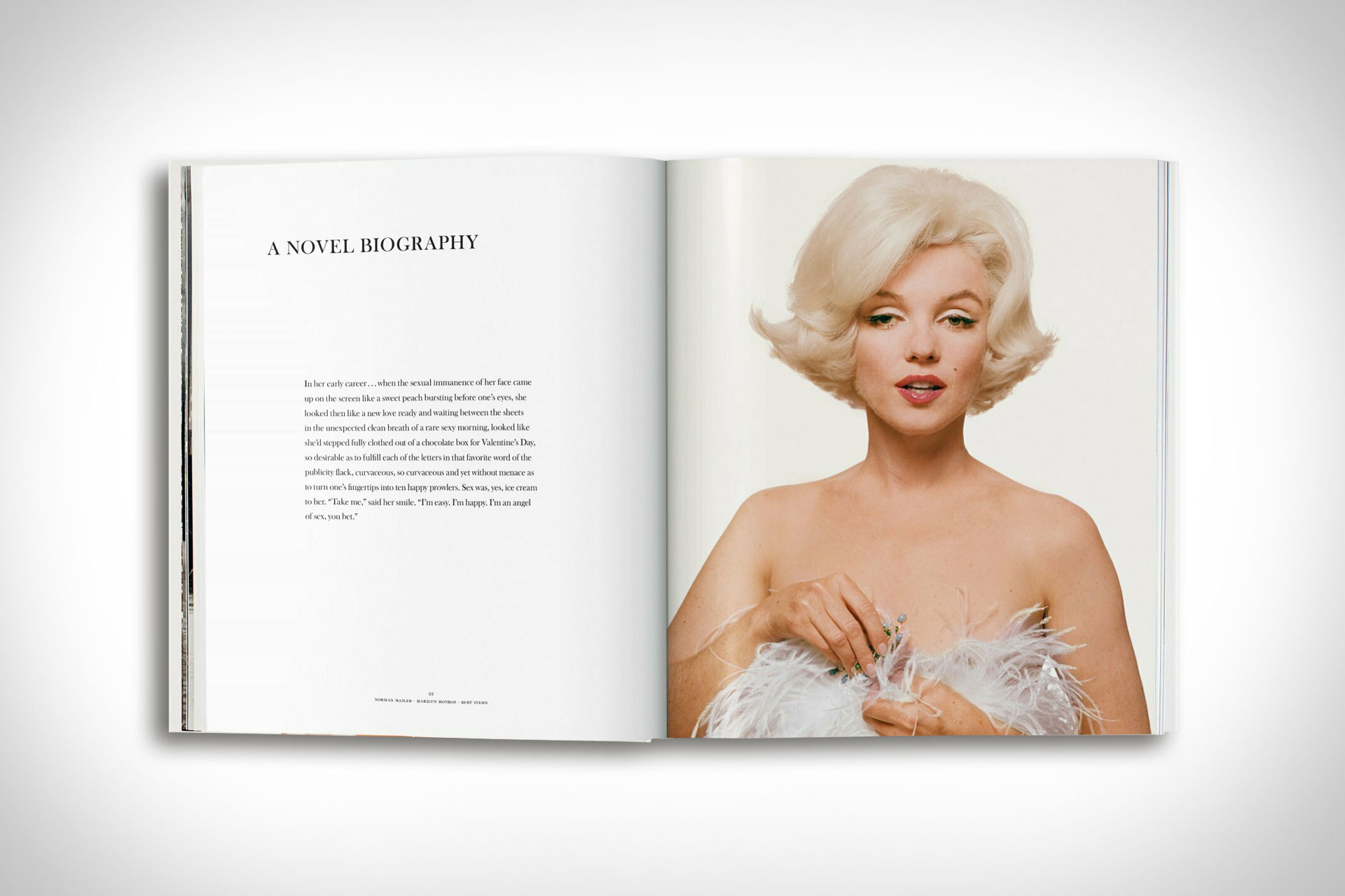 Marilyn Monroe visual data 6