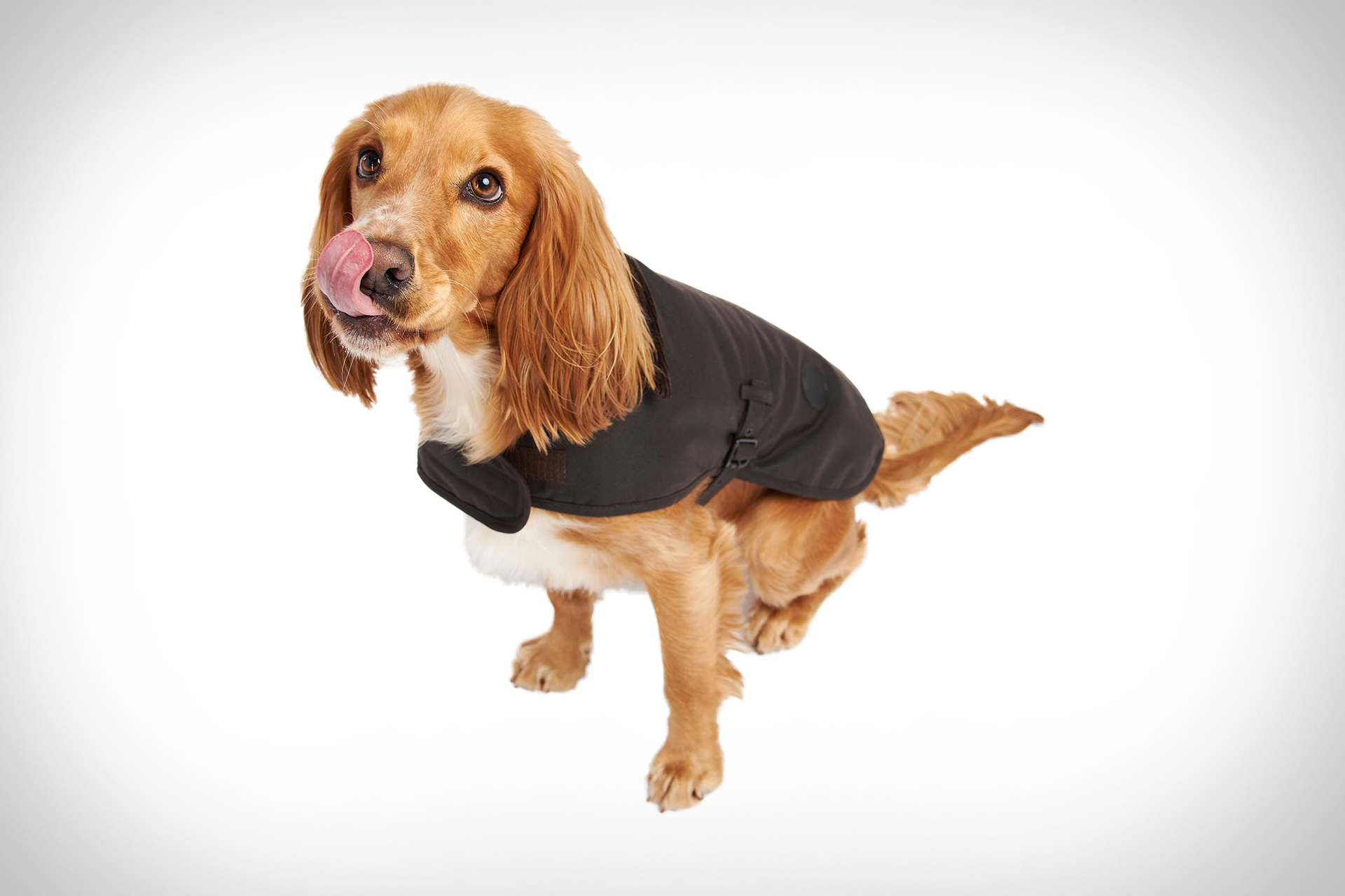 Barbour Wax Dog Coat Uncrate