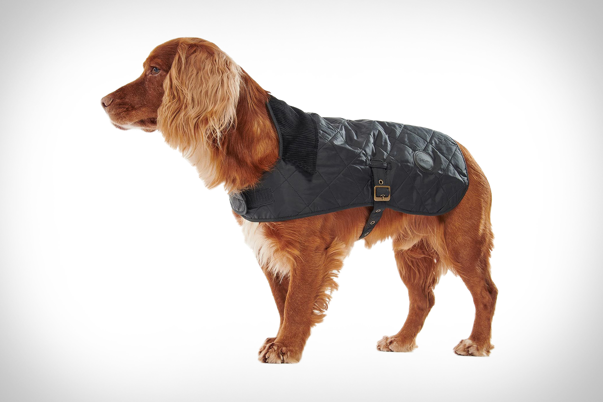 Barbour キルティング ドッグ コート Uncrate