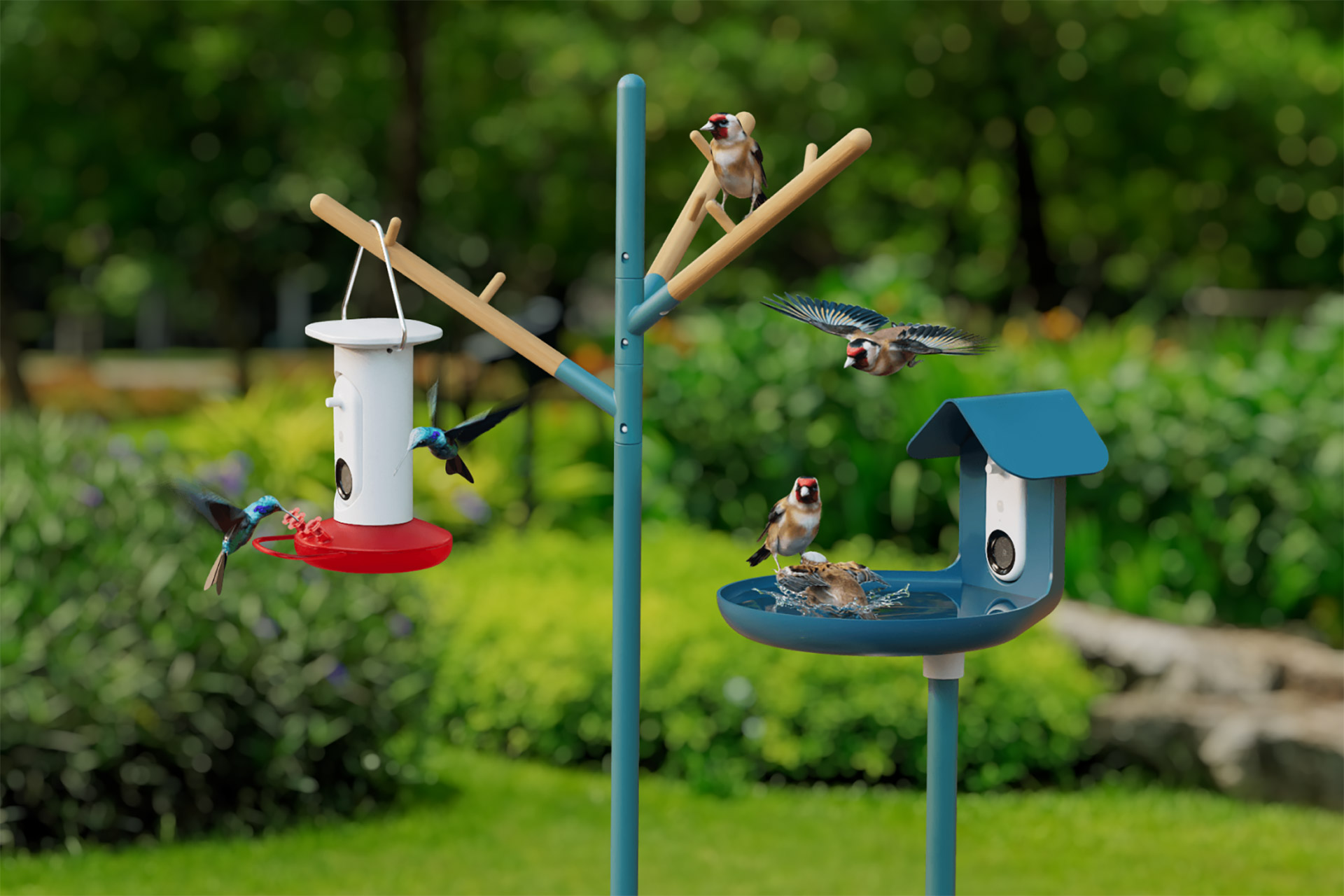 Bird Buddy Accessories - Perches, Bird Bath, Humming bird Feeder holders  par BiggBadaBoom, Téléchargez gratuitement un modèle STL