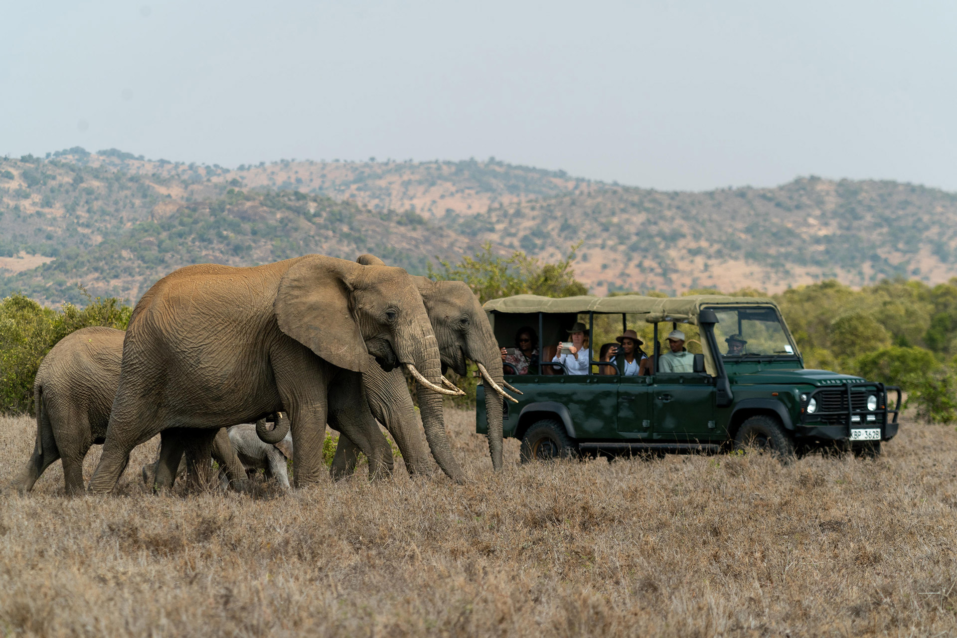 Pelorus Ultimate Private Safari Experience | Uncrate