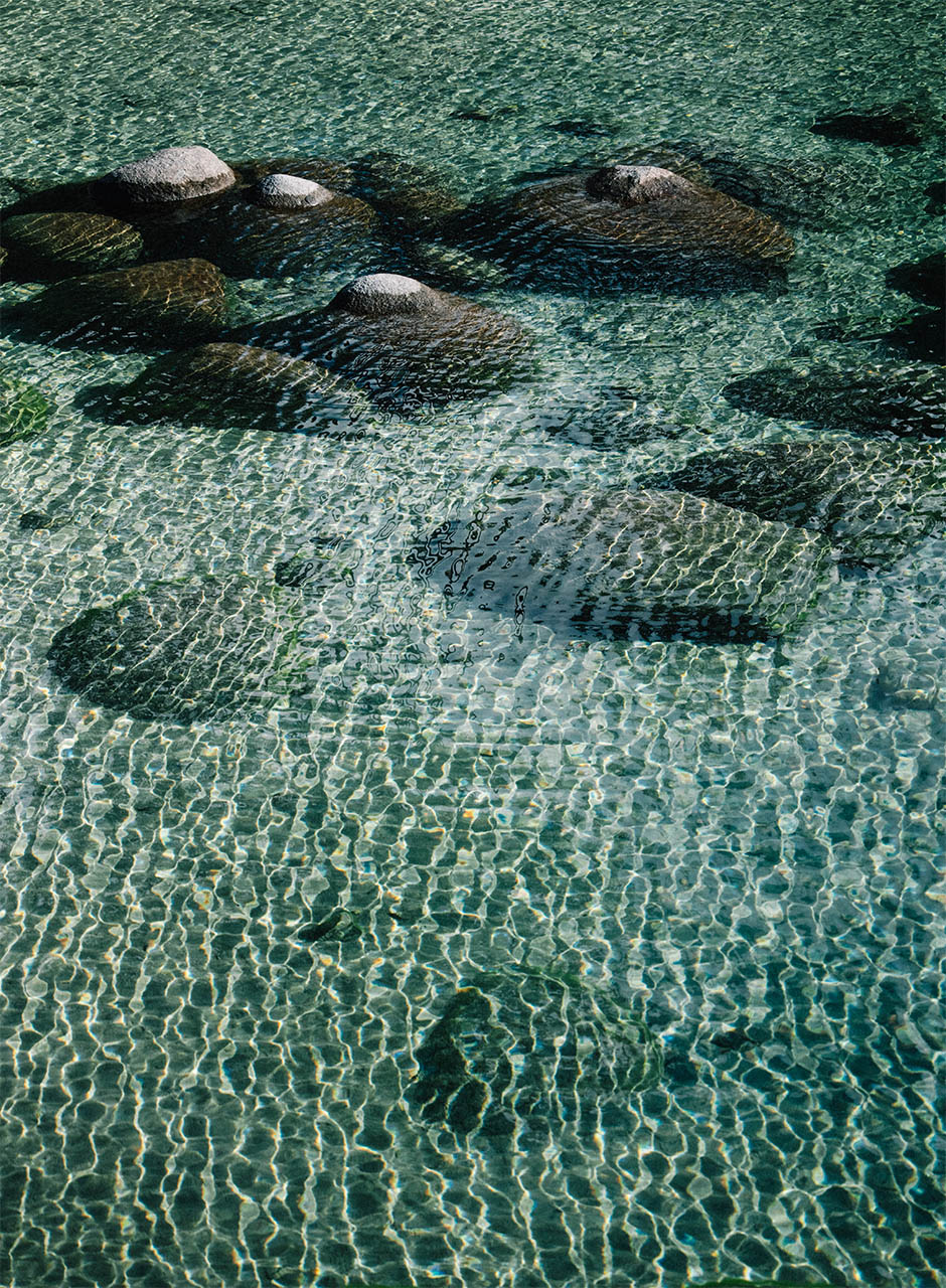 Out Of Office: Tahoe