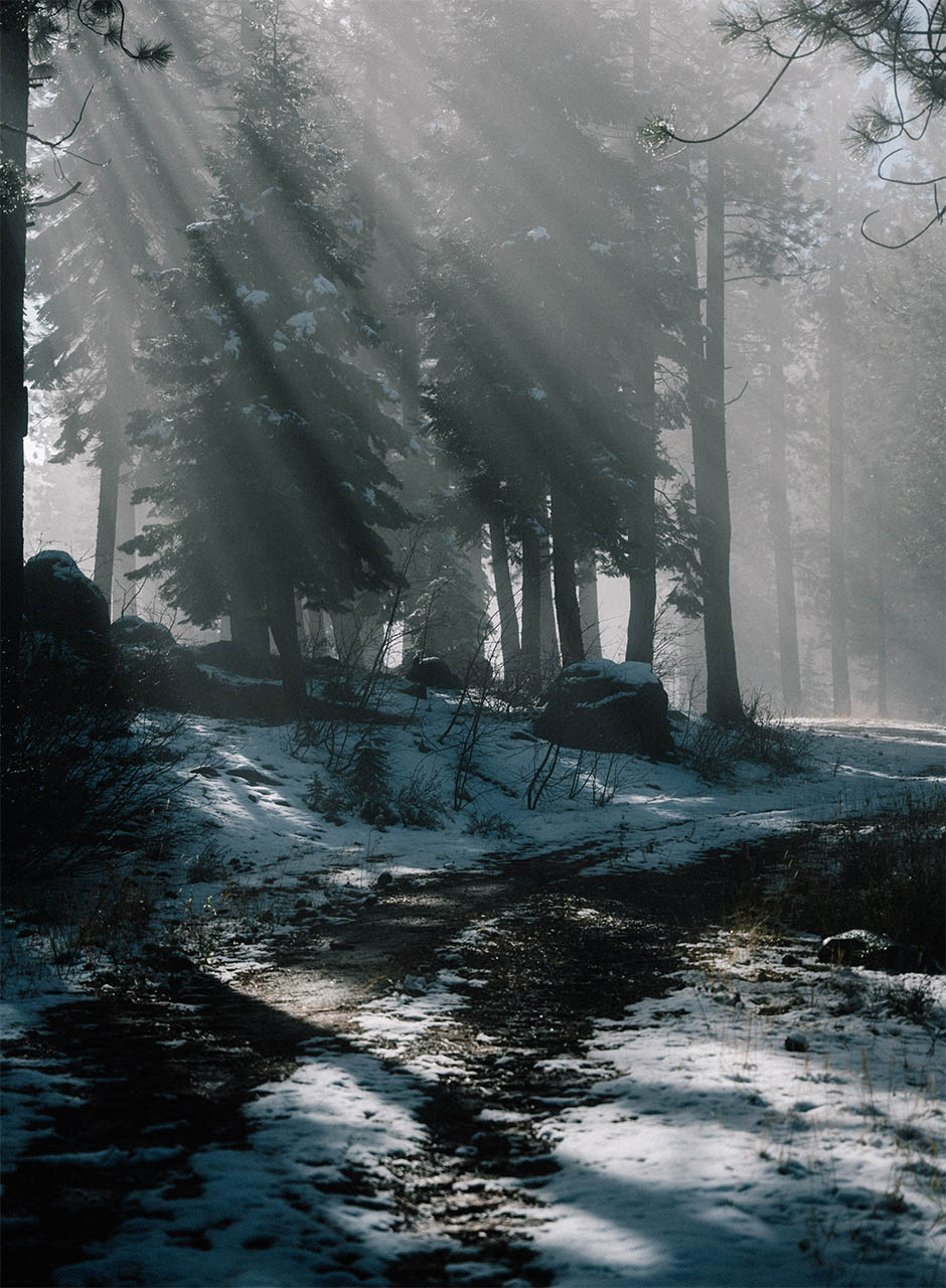 Out Of Office: Tahoe